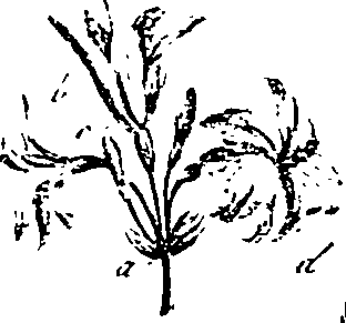 099/099330012500670_0.png