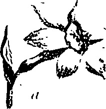 099/099330012500680_0.png