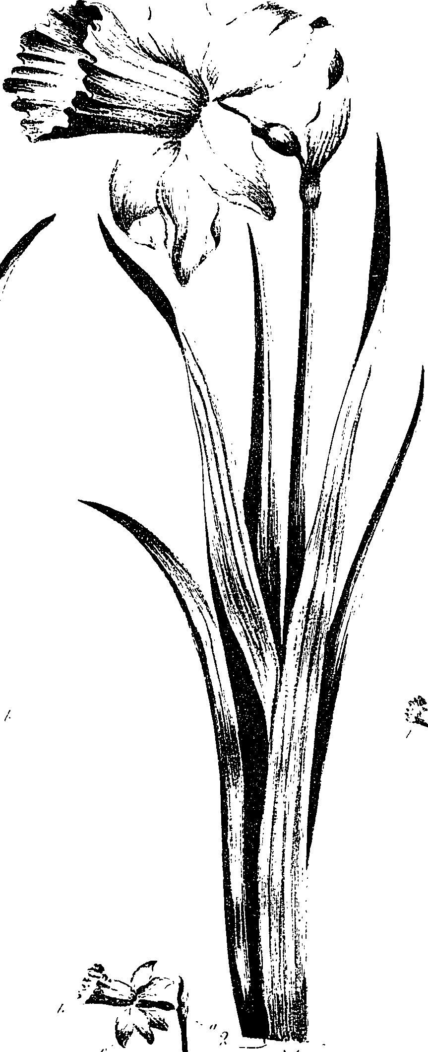 099/099330012500680_1.png