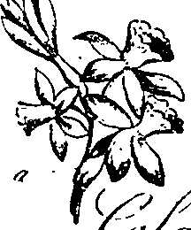 099/099330012500700_0.png
