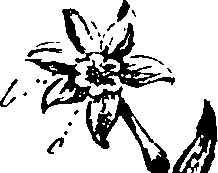 099/099330012500720_0.png