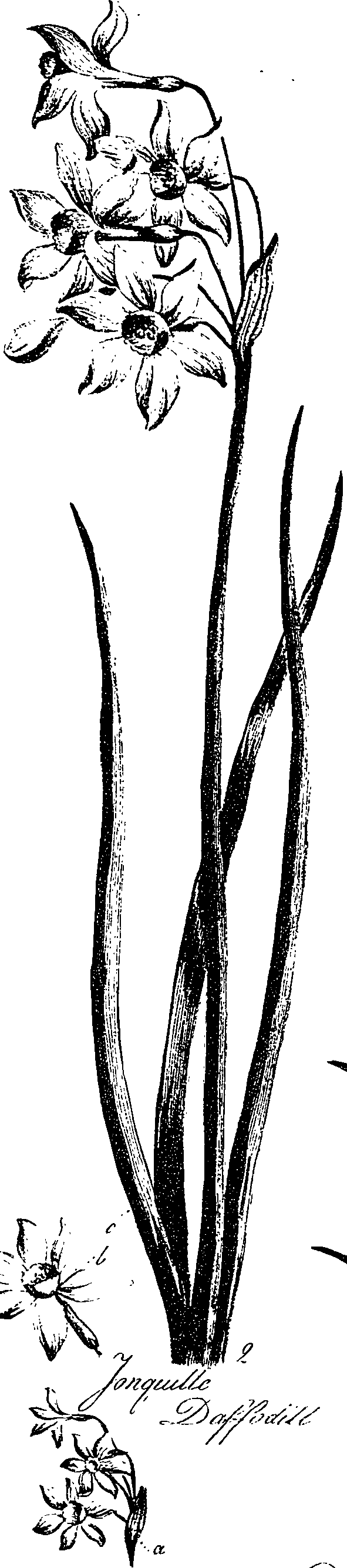 099/099330012500720_1.png