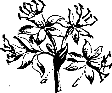 099/099330012500740_0.png