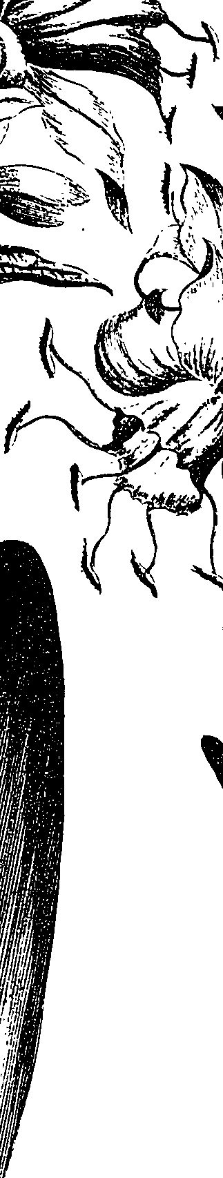 099/099330012500740_1.png