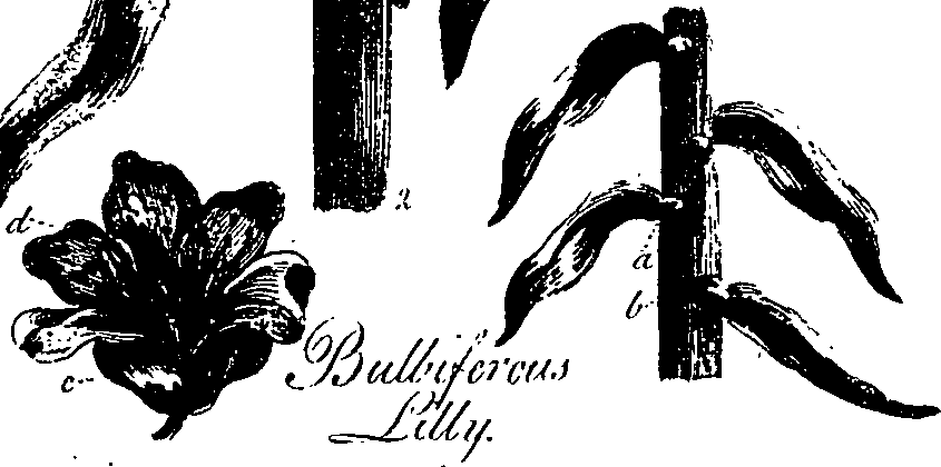 099/099330012500760_0.png