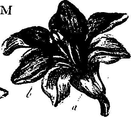099/099330012500760_1.png