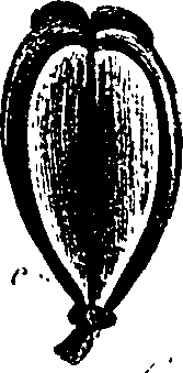 099/099330012500760_2.png