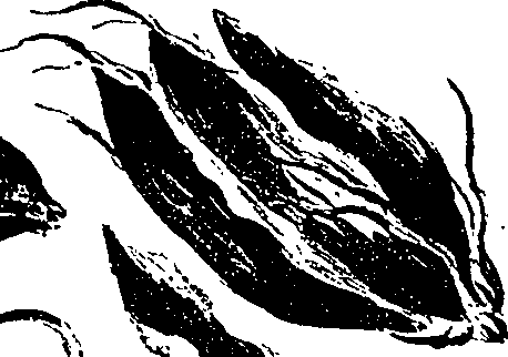 099/099330012500820_0.png