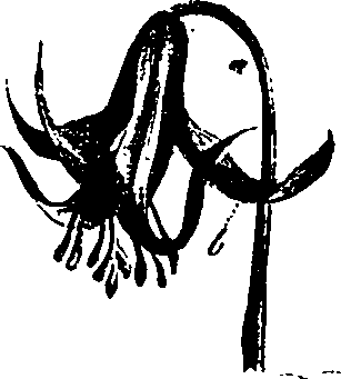 099/099330012500830_0.png