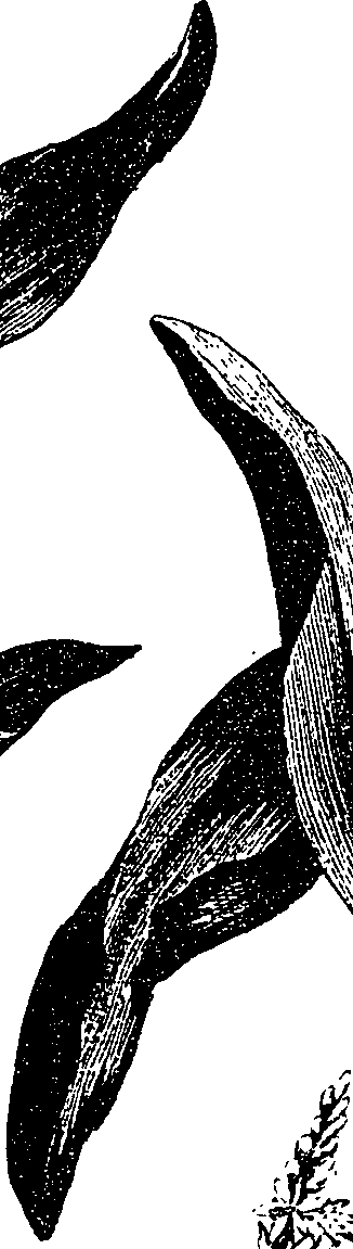 099/099330012500830_1.png