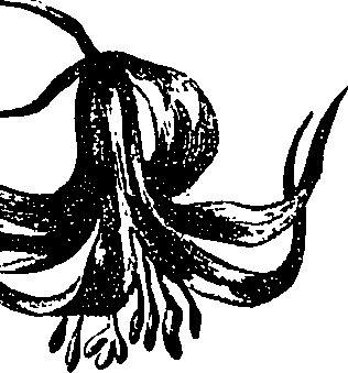 099/099330012500830_2.png