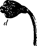 099/099330012500830_3.png