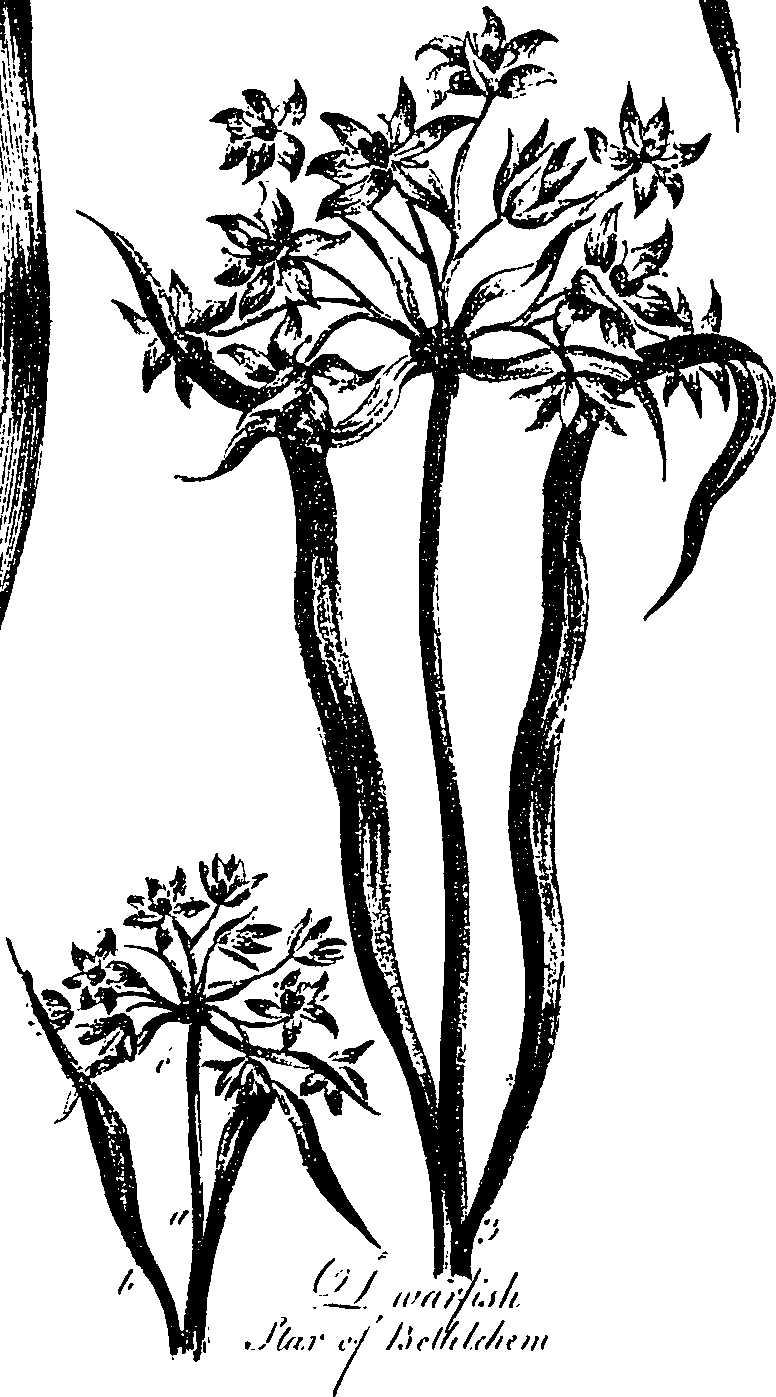099/099330012500850_0.png