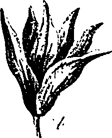099/099330012500850_1.png