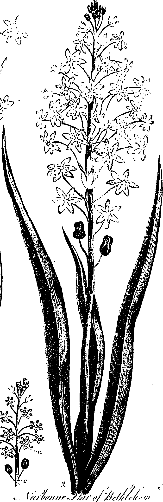 099/099330012500860_0.png