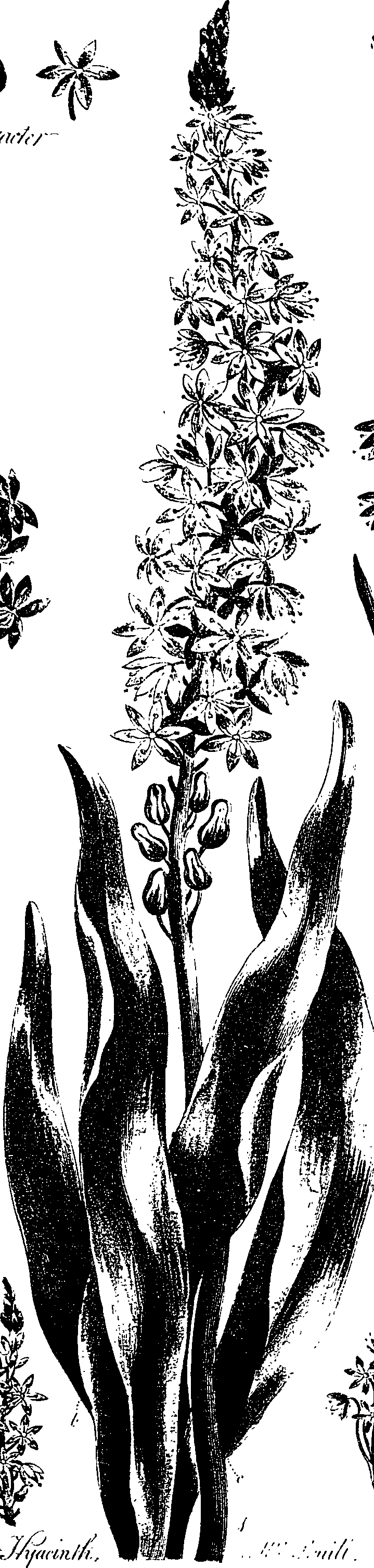 099/099330012500890_0.png