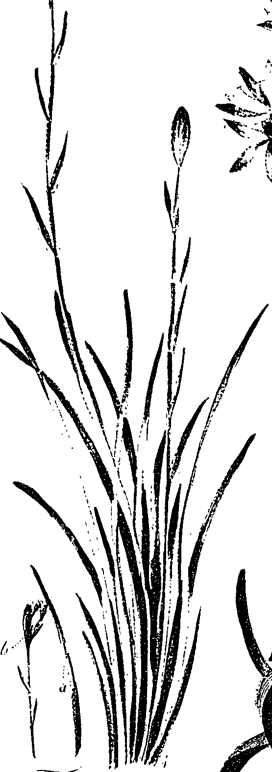 099/099330012500920_0.png
