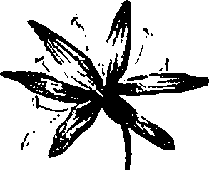 099/099330012500920_3.png