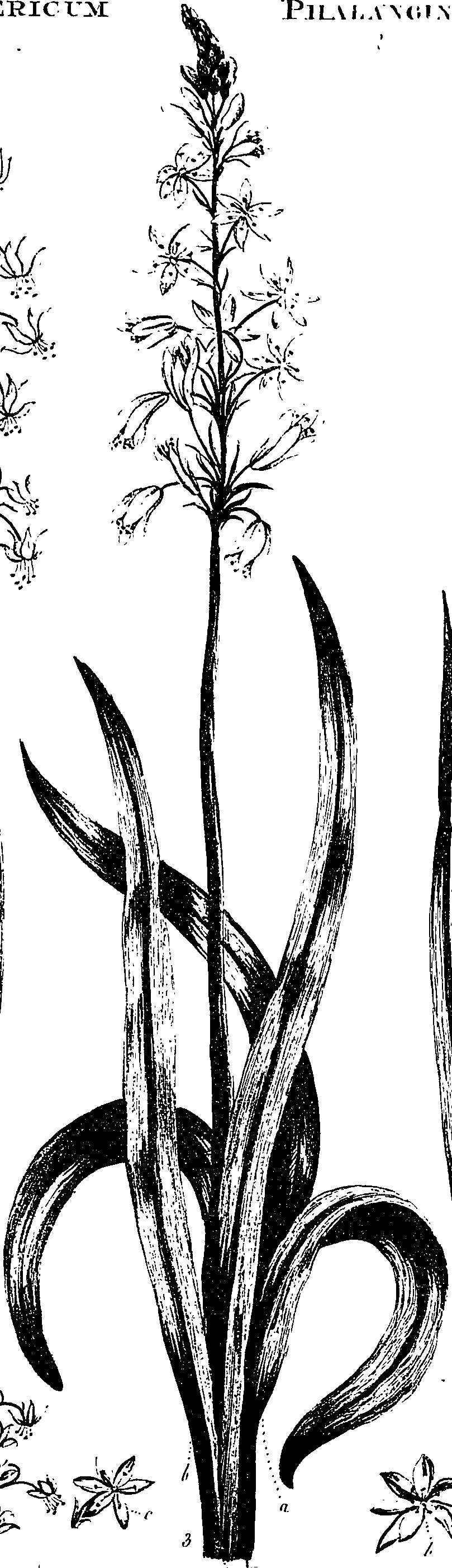 099/099330012500930_0.png