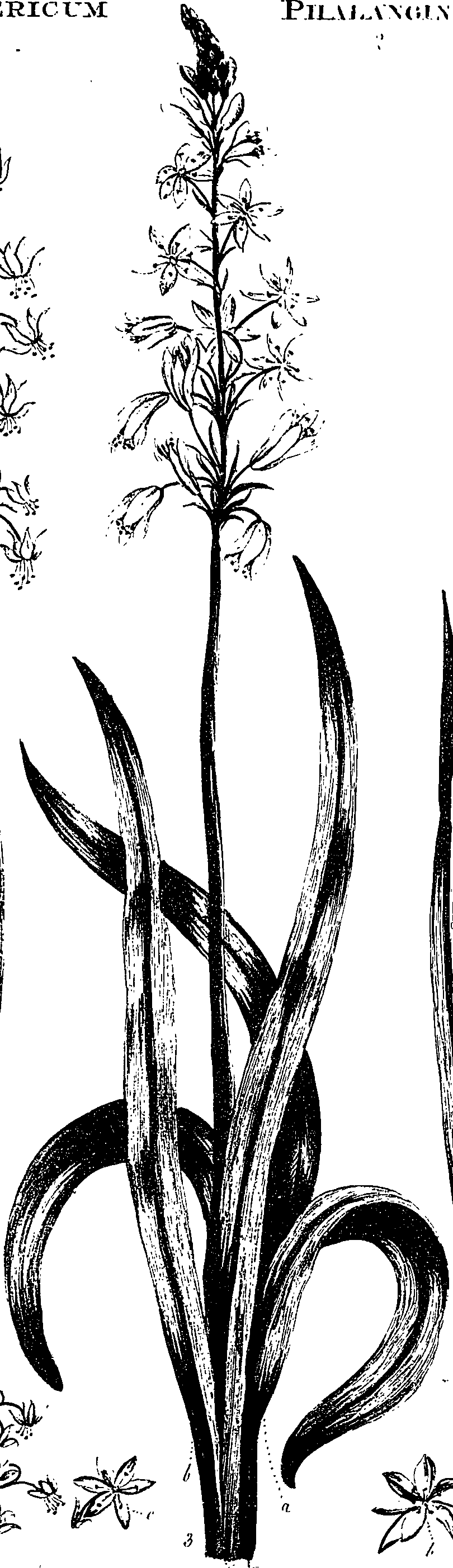 099/099330012500940_0.png