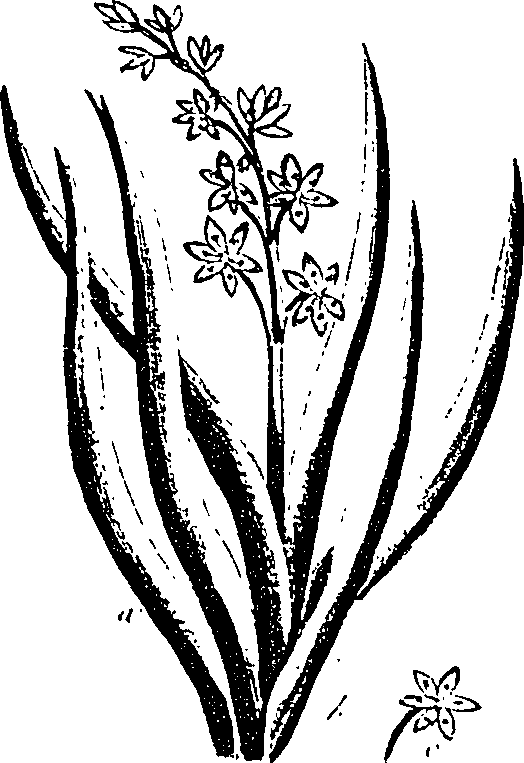 099/099330012500960_1.png