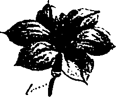 099/099330012501020_1.png