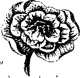 099/099330012501030_1.png