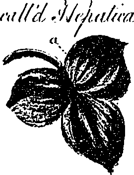 099/099330012501040_0.png