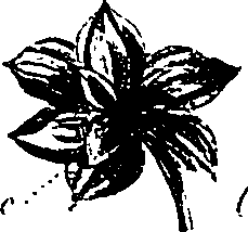 099/099330012501040_3.png