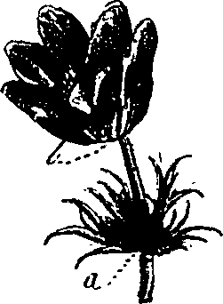 099/099330012501050_0.png