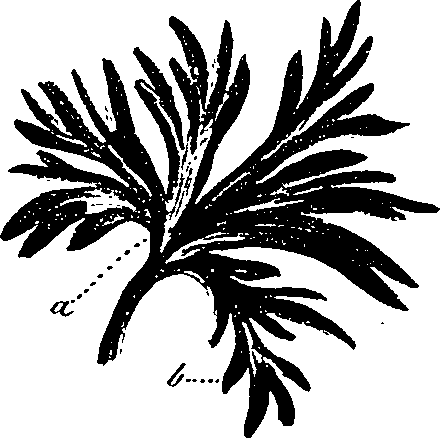 099/099330012501060_0.png