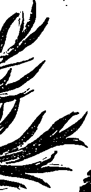 099/099330012501060_1.png