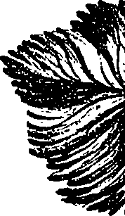 099/099330012501060_2.png