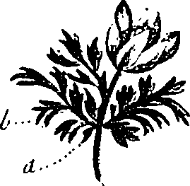 099/099330012501060_3.png