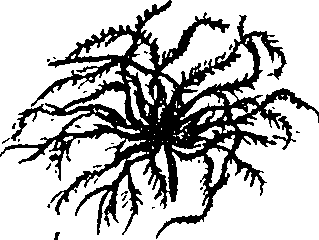 099/099330012501060_4.png