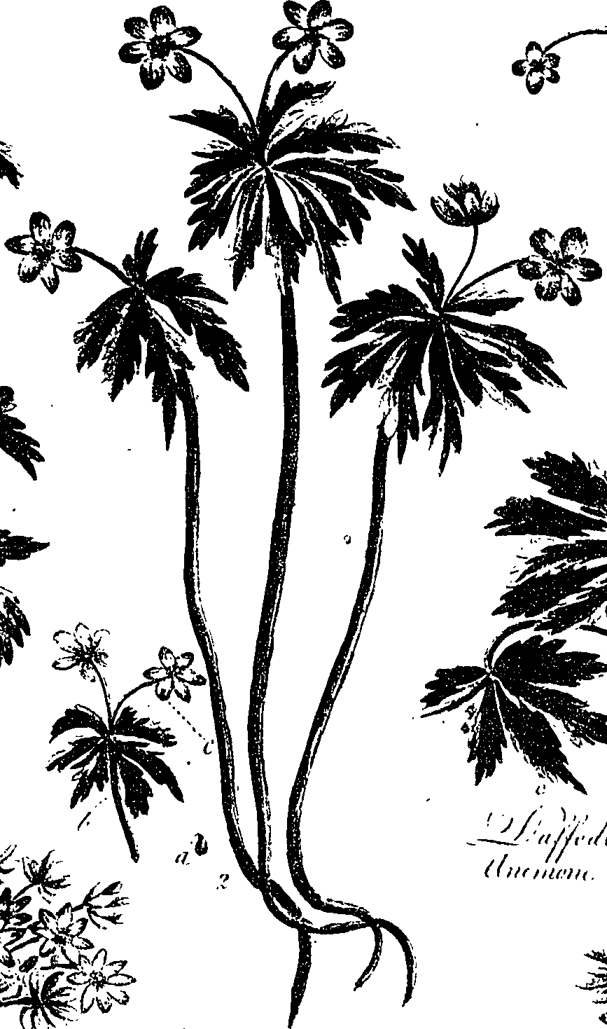 099/099330012501090_0.png