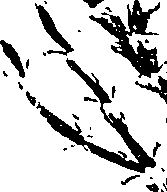 099/099330012501100_0.png