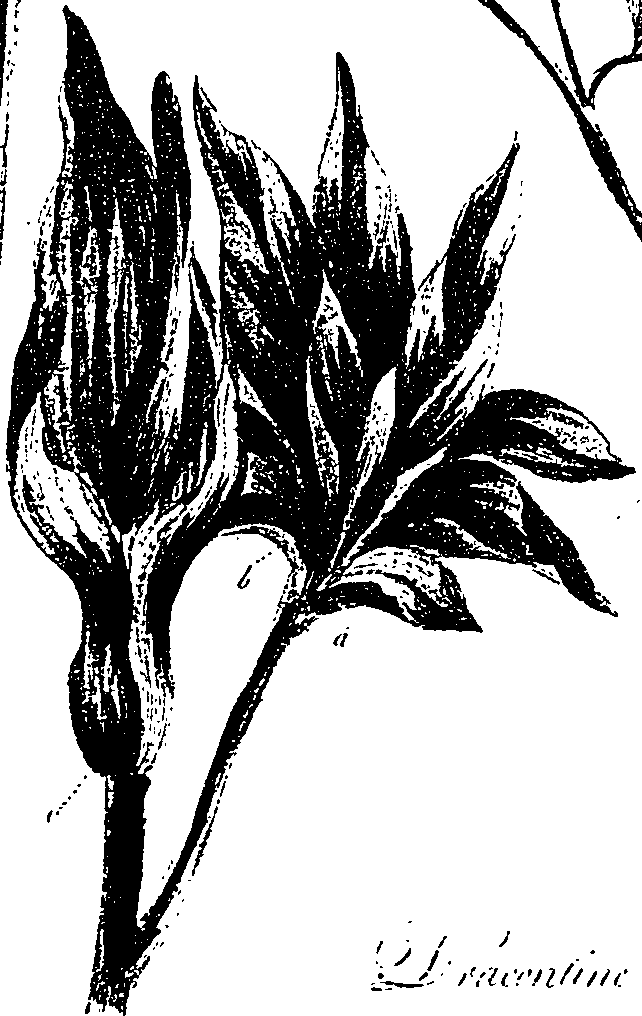 099/099330012501120_0.png