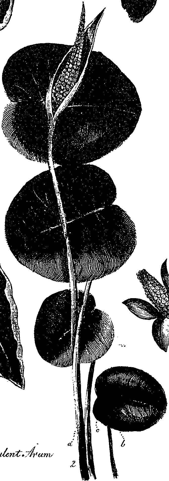099/099330012501140_0.png