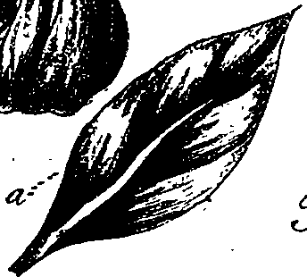 099/099330012501170_0.png
