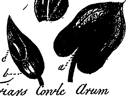 099/099330012501170_1.png