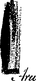 099/099330012501180_0.png