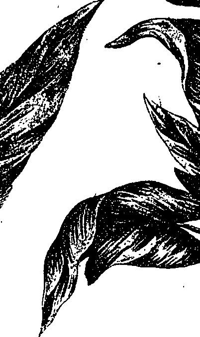 099/099330012501190_0.png