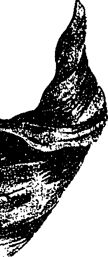 099/099330012501190_1.png
