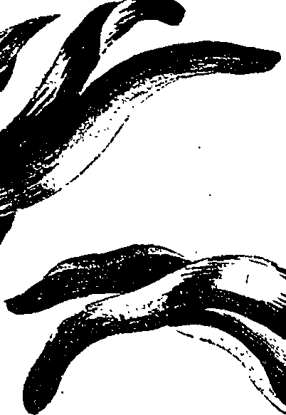 099/099330012501190_2.png