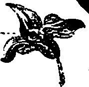 099/099330012501230_0.png