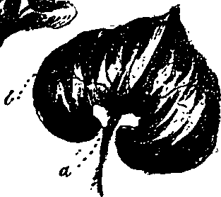 099/099330012501230_1.png