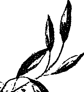 099/099330012501230_2.png
