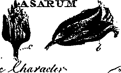 099/099330012501230_3.png