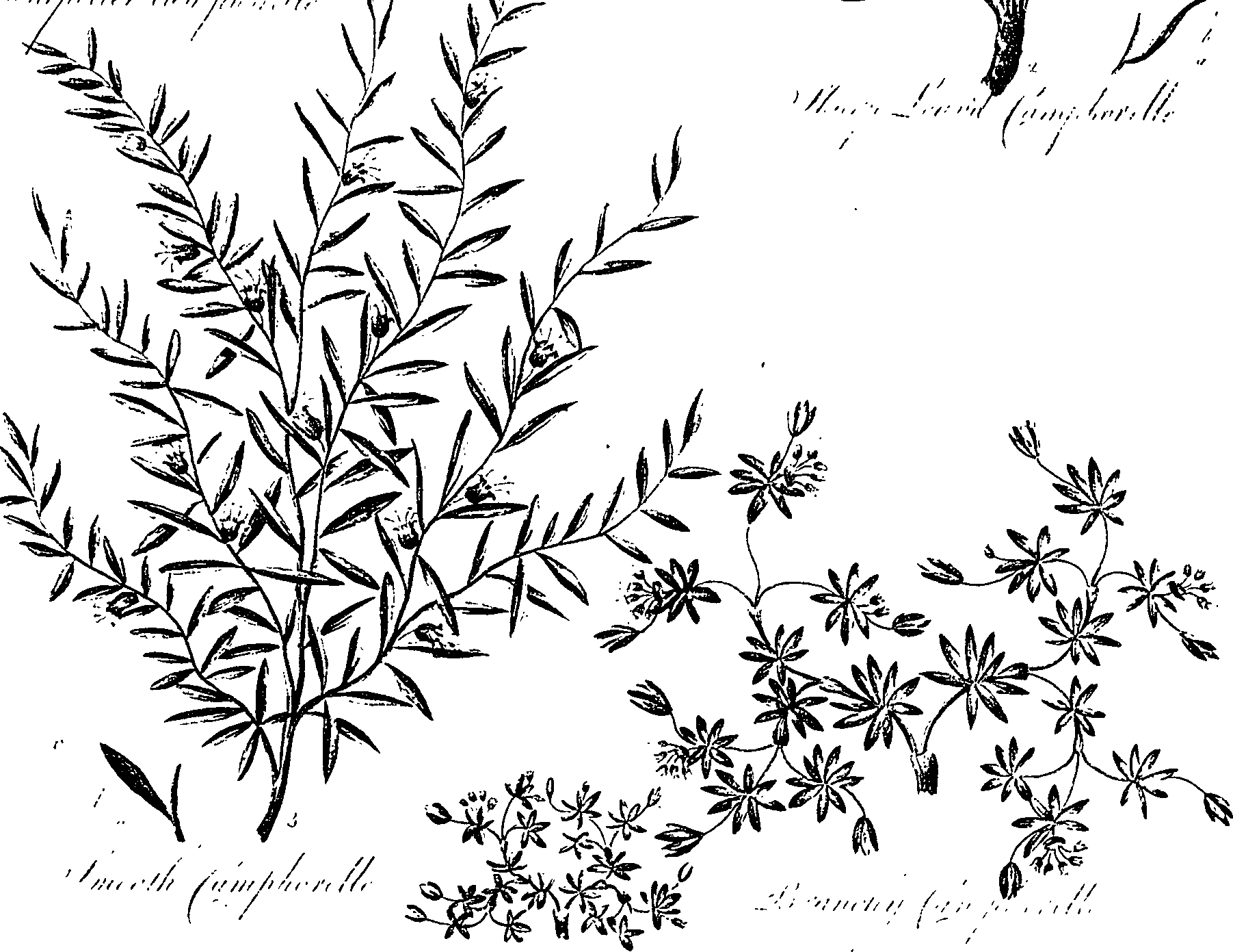 099/099330012600970_0.png